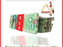 Payday loans Alberta has become a go to solution for handling immediate cash shortfall